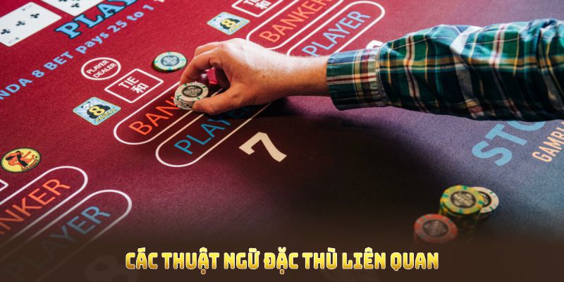 Các thuật ngữ đặc thù liên quan đến  cách chơi baccarat